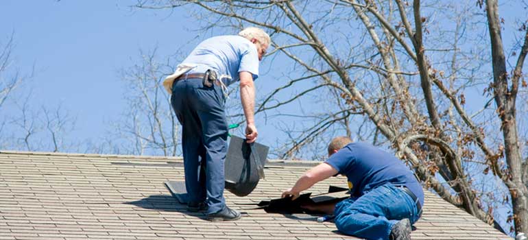 Two Workers Performing Shingle Installation in Michigan